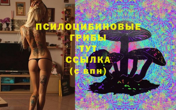 PSILOCYBIN Медвежьегорск