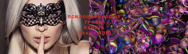 гашик Медногорск