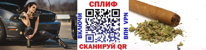 Бошки Шишки VHQ Борзя
